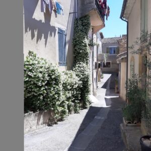 20230510 JasminDansRueFD 300x300